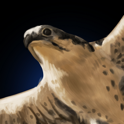 Owl's Mind